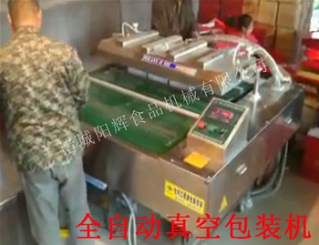 黑龍江連續真空包裝機